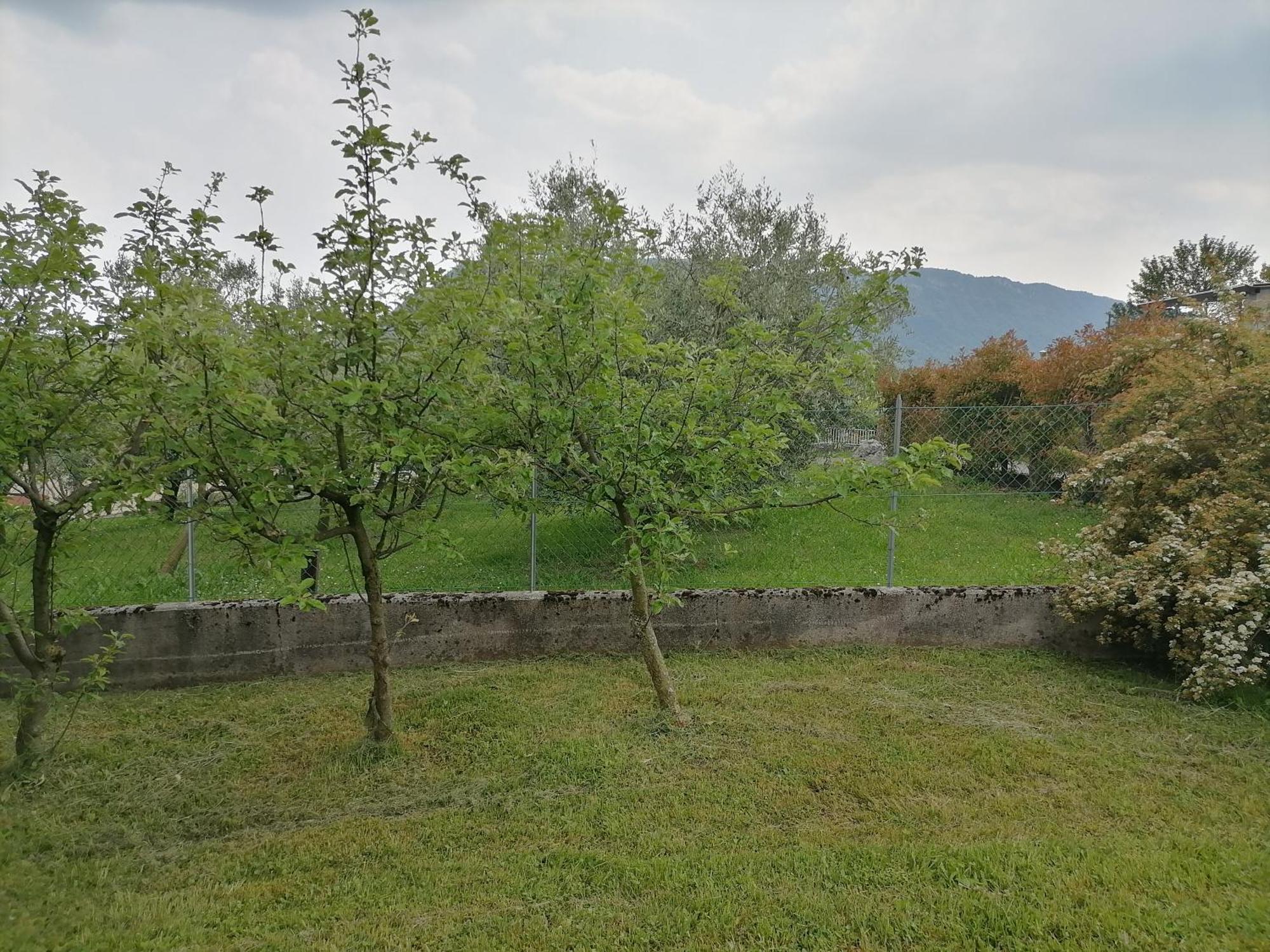 Albergo Diffuso Forgaria Monte Prat Forgaria nel Friuli Exterior foto